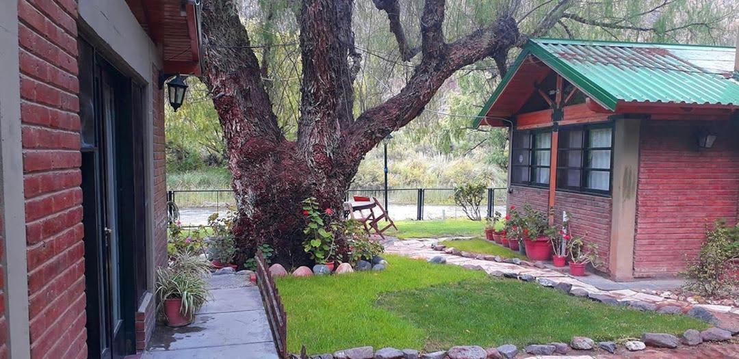Balcon Del Atuel Alojamento de Turismo Selvagem Valle Grande (Mendoza)